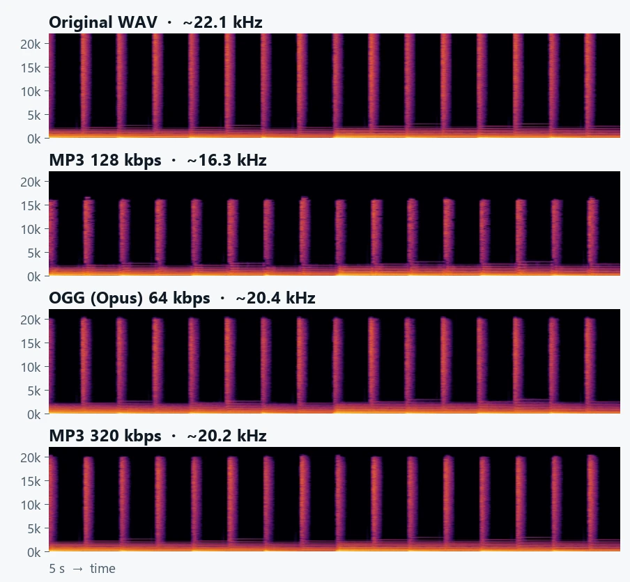 Espectrogramas de la muestra musical: MP3 a 128 kbps está vacío por encima de 16 kHz; OGG a 64 kbps y MP3 a 320 kbps llegan a unos 20 kHz